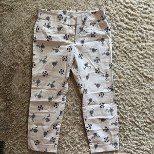 Loft Women's Marisa Pants